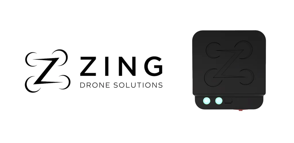 Zing header image