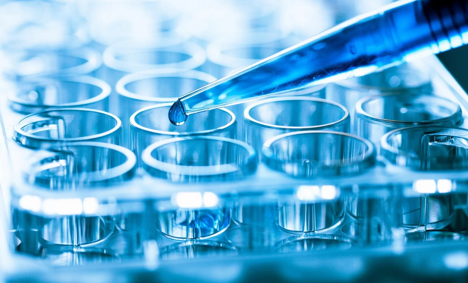 DenovAI Biotech header image