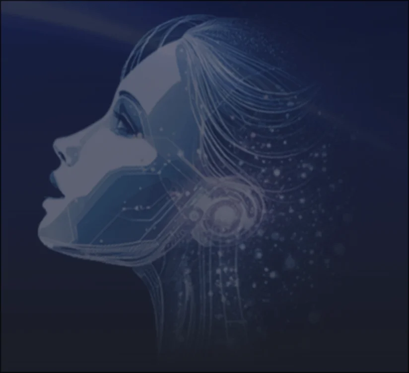 SoulLink header image