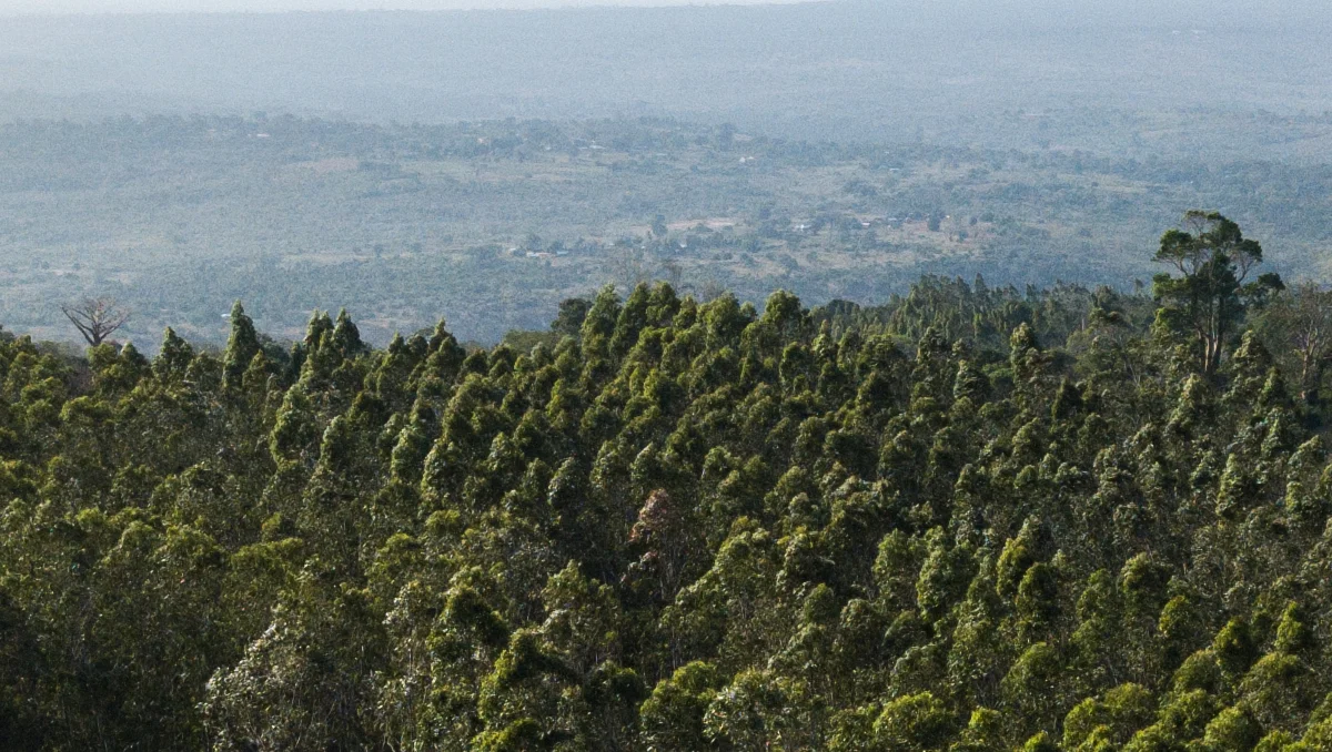 KOMAZA header image