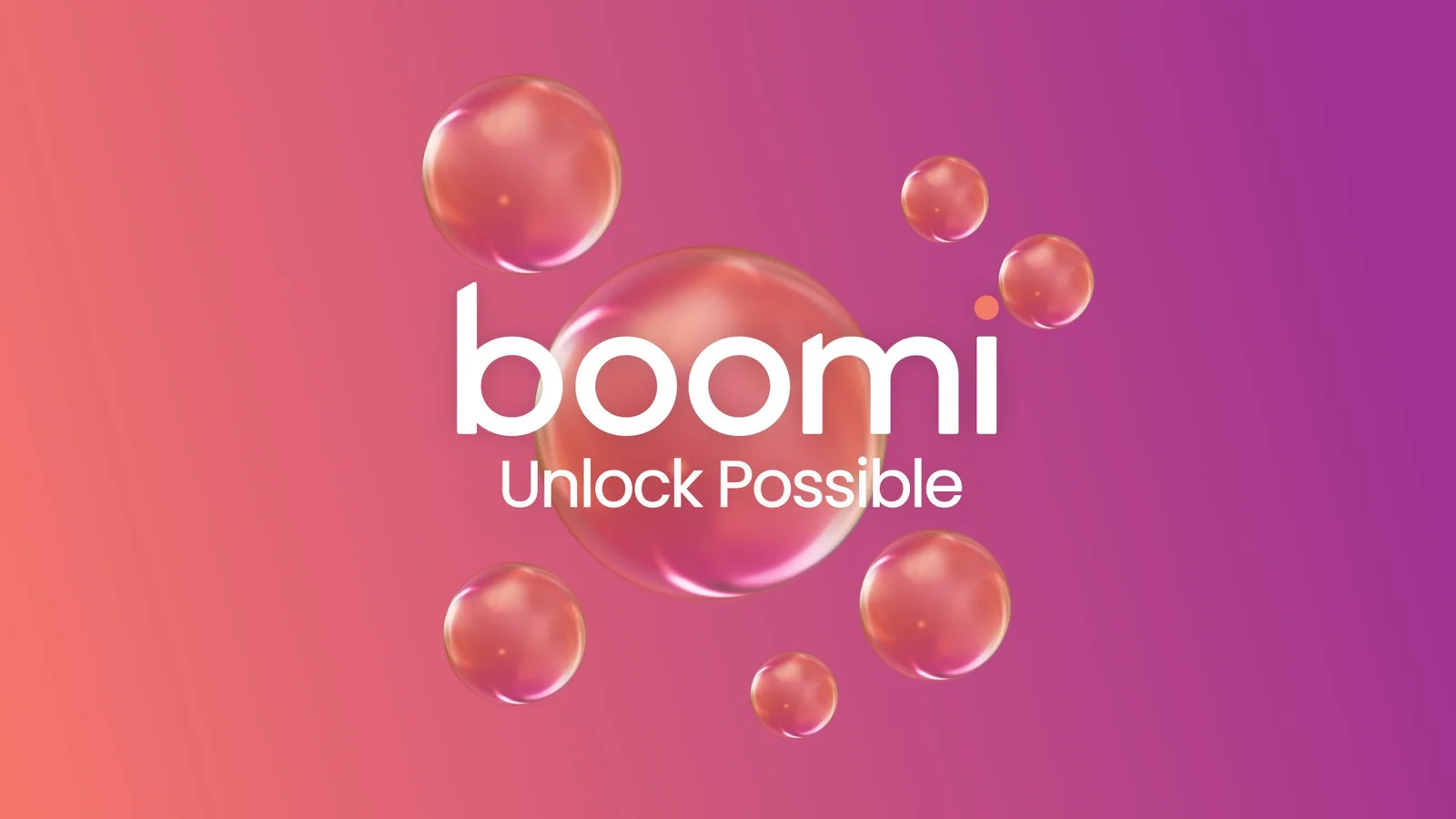 Boomi header image