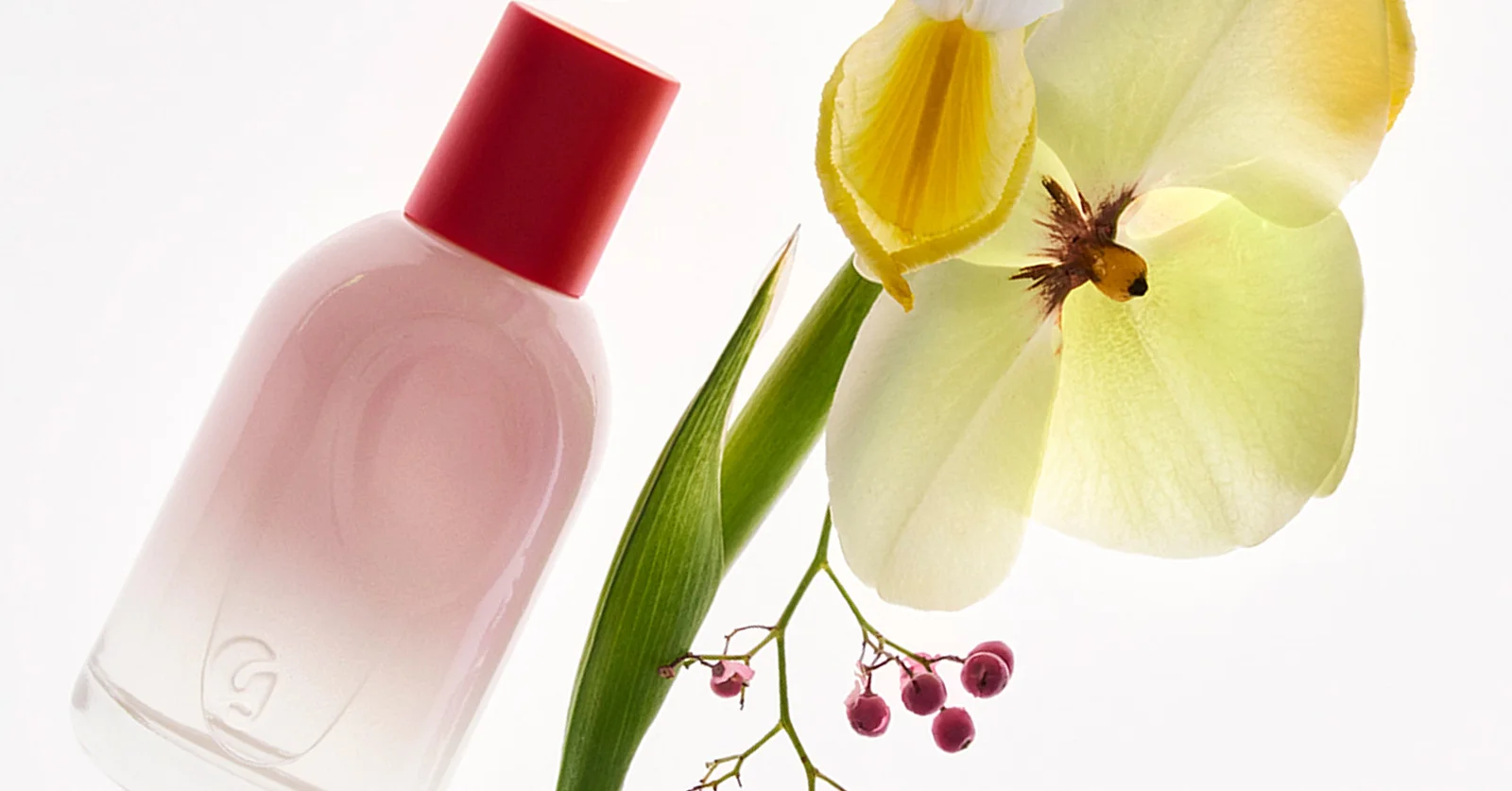 Glossier header image