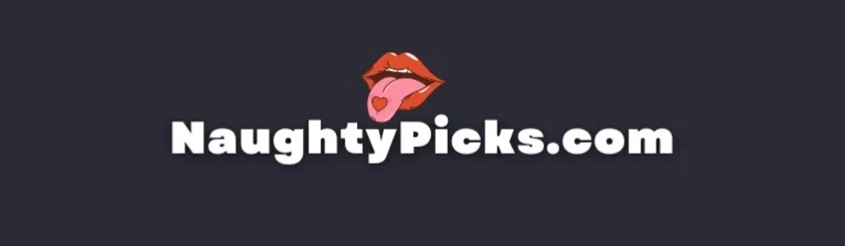 NaughtyPicks header image