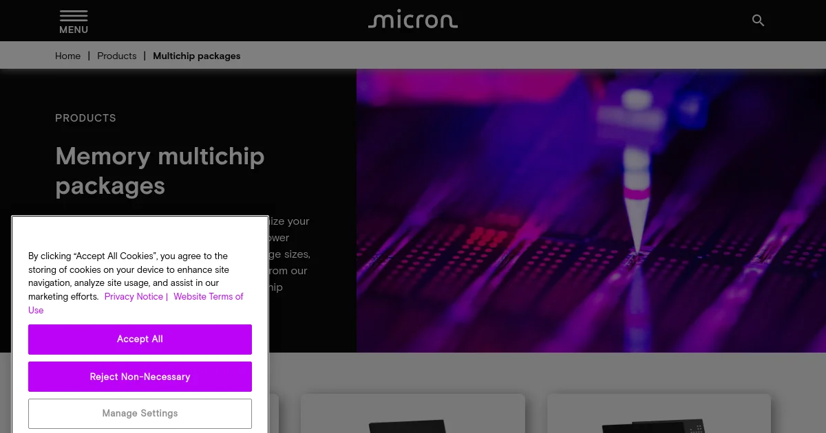 Micron Technology pricing page