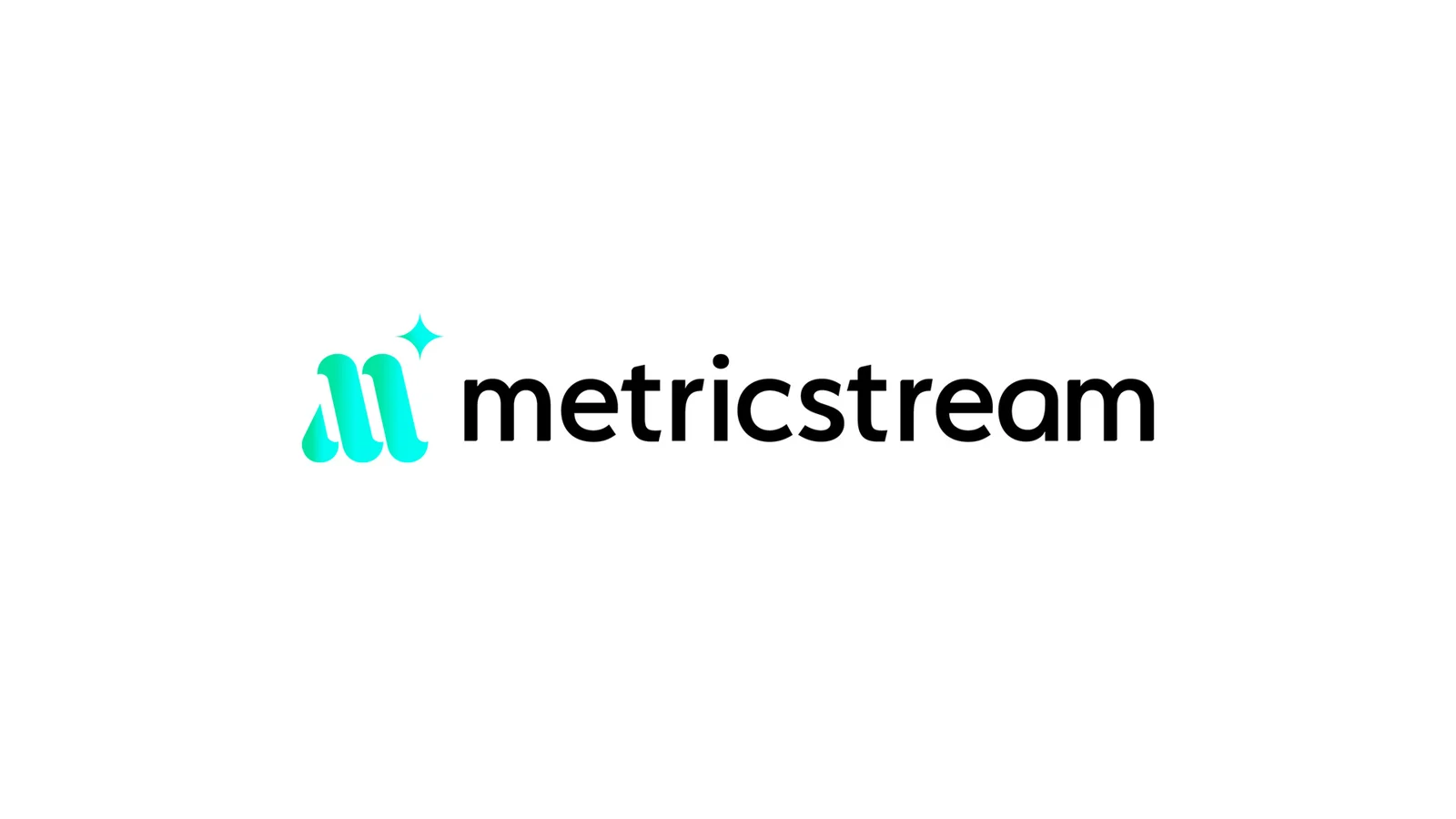 MetricStream header image