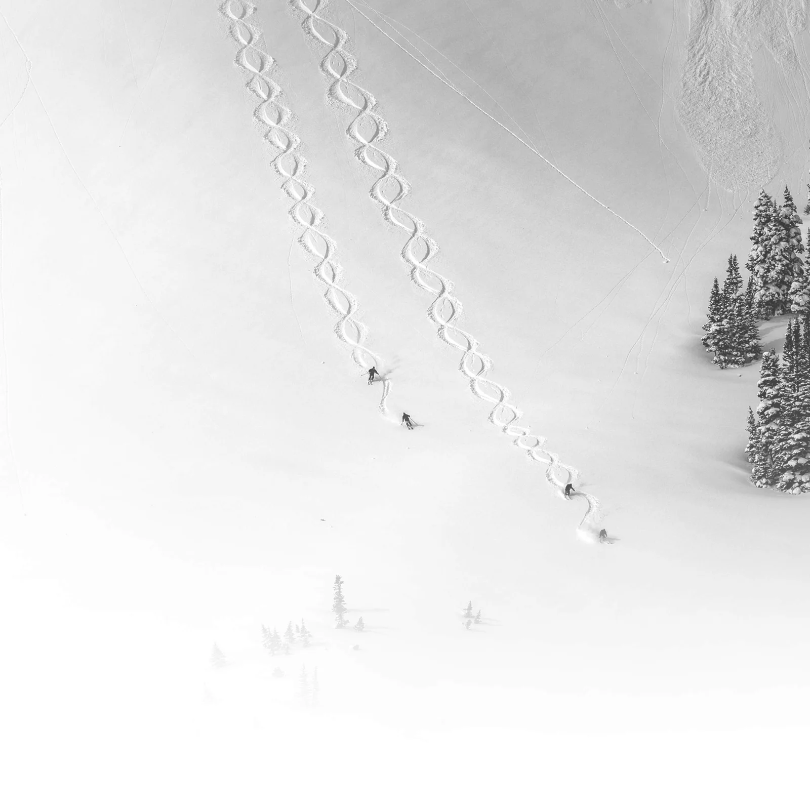 Alta Grid Tech header image
