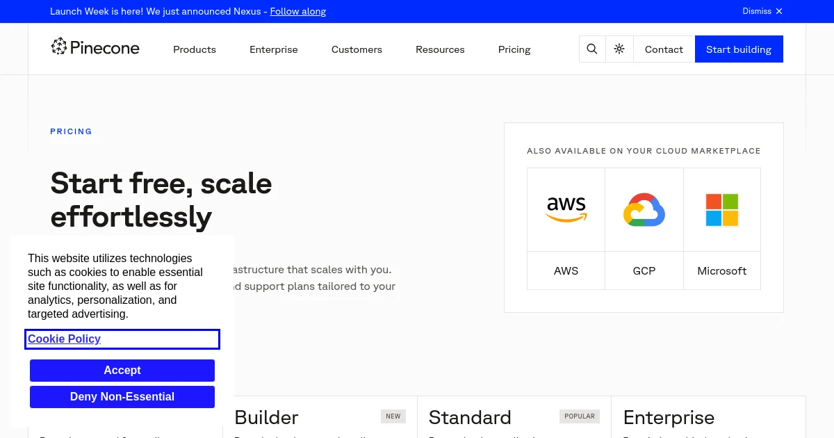 Pinecone pricing page