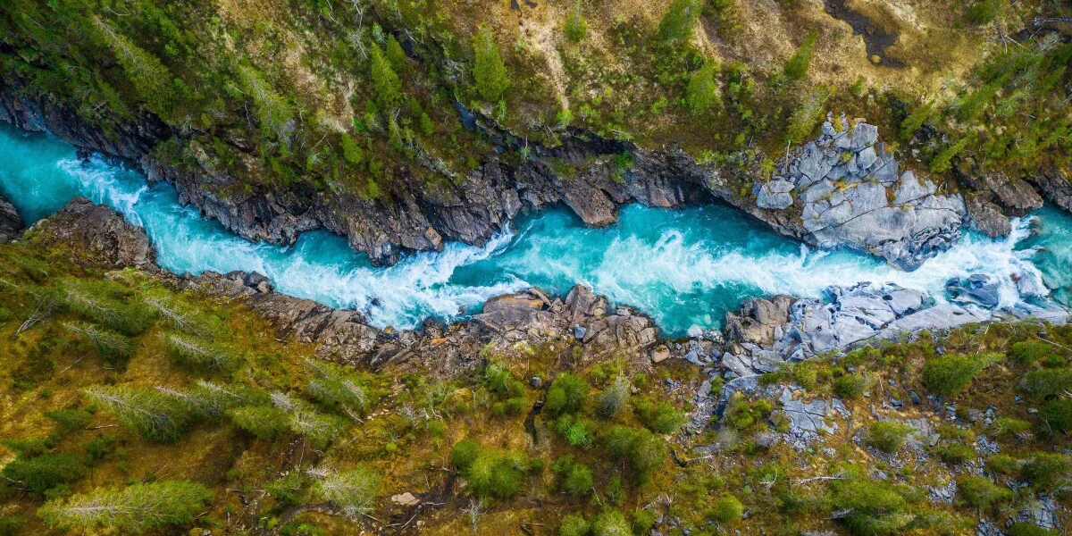 Amazon's global water conservation projects include watershed restoration and leak detection initiatives.