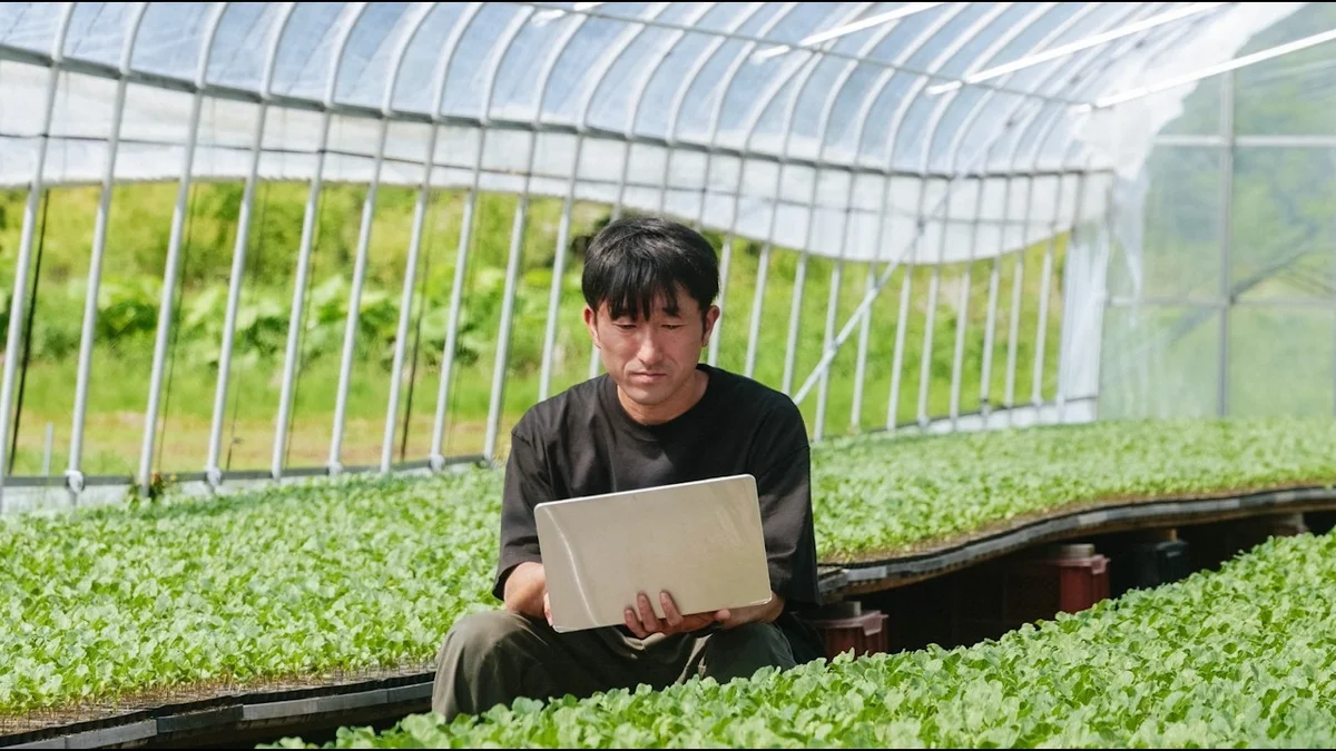 A farmer in Hokkaido, Japan, uses a laptop in a greenhouse, demonstrating AI integration in agriculture.