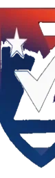 Aegislink logo