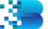 Biren Technology logo