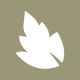 Vision Woodworking logo