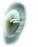 SonicEdge logo