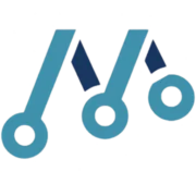 Minysa