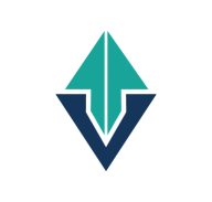 Vector Photonics