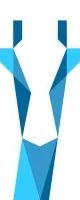 SkyGiraffe logo