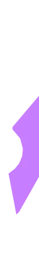 Veritise logo