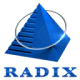 Radixweb logo