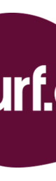 Surf AI logo