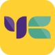 Yellow Card logo