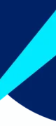 Ray Security logo