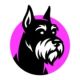 Bark AI logo