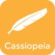 Cassiopeia Tech logo