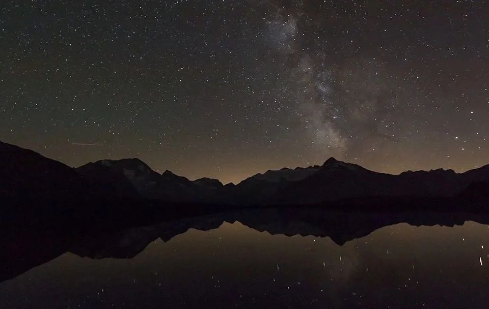 Bidfit header image